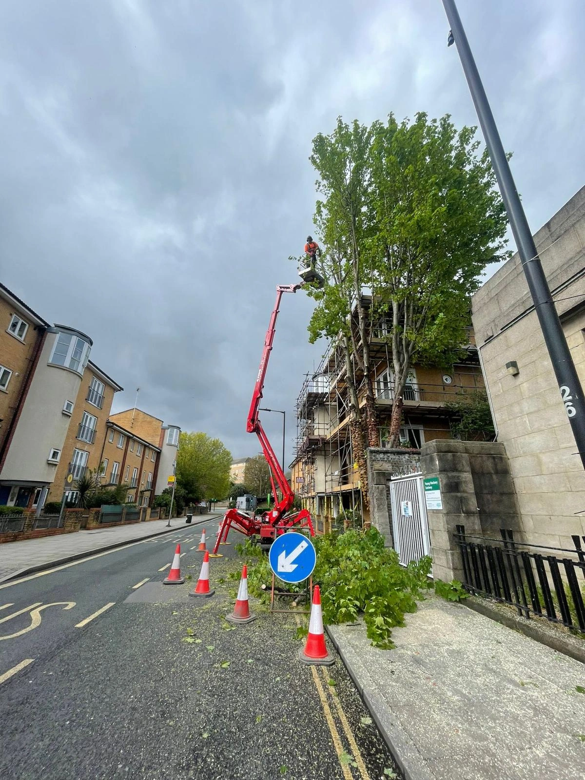 Tree Crown Reduction On Highway Hornchurch
